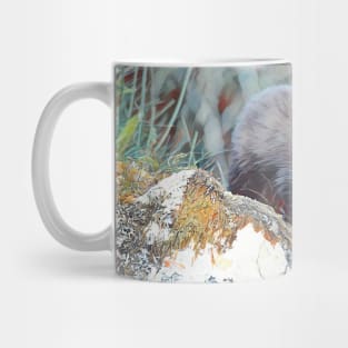 Pine Marten Mug